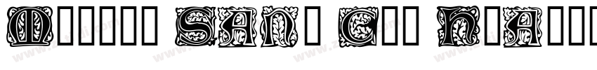 Morris Sans Com Heav字体转换